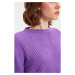 Trendyol Purple Crop and Spanish Sleeve Knitwear Sweater