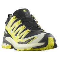 Salomon XA PRO 3D V9 GTX Man L47468600 - black/sulphur spring/pewter