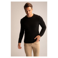 DEFACTO Slim Fit Crew Neck Sweater