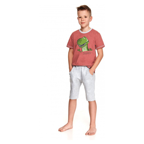 Chlapecké pyžamo model 15142381 - Taro
