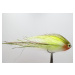 AzFishing Az-Fishing Streamer Chartreuse Pearl