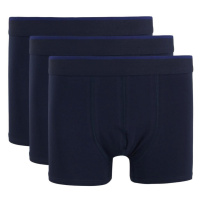 DEFACTO Regular Fit 3-pack Boxer