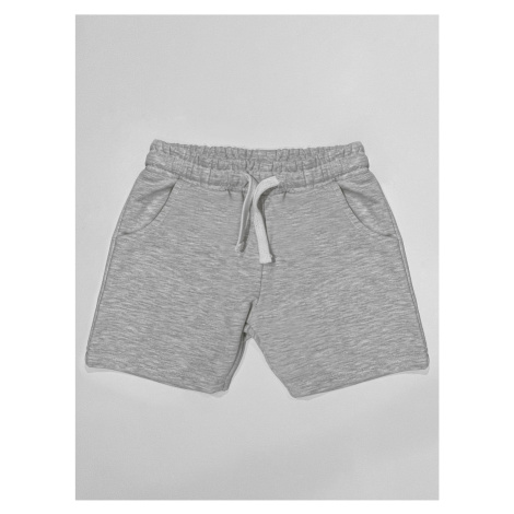 Denokids Basic Boys' Cotton Light Gray Shorts