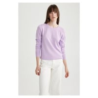 DEFACTO Regular Fit Crew Neck Basic Sweater