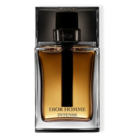 Dior Dior Homme Intense Eau de Parfum parfémová voda 100 ml