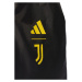 Taška adidas Juventus Turín IB4563