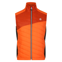 Pánská vesta Dare 2b Touring Gilet