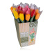 Accentra - Mýdlová růže na stonku  Mýdlový tulipán na stonku 1x4g Barva: Oranžová