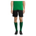 SOĽS Soccer Podkolenky SL00604 Bright green