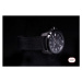 Formex Essence Leggera FortyOne Automatic Chronometer Forged Carbon Black Nylon 0331.4.6399.811