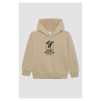 DEFACTO Boy's Printed Hooded Thick Sweatshirt