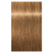 Schwarzkopf Professional IGORA Royal Absolutes barva na vlasy odstín 8-50 Light Blonde Gold Natu