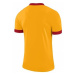 Nike Dry Park Derby II Jersey ruznobarevne