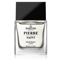 SANTINI Cosmetic Pierre Saint parfémovaná voda unisex 50 ml