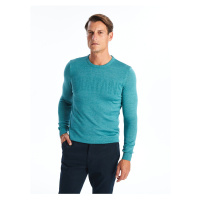 LC Waikiki Lcw Crew Neck Long Sleeve Men's Knitwear Sweater