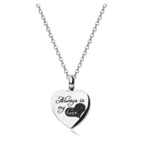 Ocelový náhrdelník, stříbrná barva - přívěsek ve tvaru srdce 