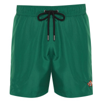 Trendyol Green Men's Fish Embroidered Swim Shorts