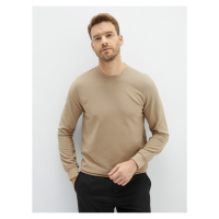 LC Waikiki Crew Neck Long Sleeve Men's Sweatshirt