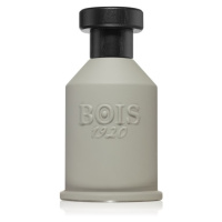 Bois 1920 Itruk parfémovaná voda unisex 100 ml