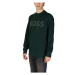 BOSS JERSEY WE BASIC CREW 50487133 Zelená