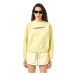 Diesel Sweatshirt - F-REGGY-IND SWEAT-SHIRT yellow