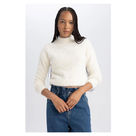 DEFACTO Regular Fit Half Turtleneck Sweater