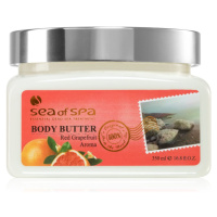 Sea of Spa Essential Dead Sea Treatment tělové máslo s minerály z Mrtvého moře Red Grapefruid 35