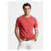 T-Shirt Polo Ralph Lauren