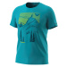 Pánské triko Dynafit Artist Series Dri T-Shirt M