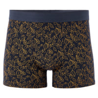 Jibofall Boxerky Celio