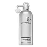 Montale Ginger Musk parfémovaná voda unisex 100 ml