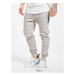 Sweat Pants - grey