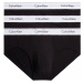 Pánské spodní prádlo HIP BRIEF 3PK 000NB2379A001 - Calvin Klein