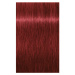 Schwarzkopf Professional IGORA Royal barva na vlasy odstín 6-88 Dark Blonde Red Extra 60 ml