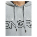 Dangerous DNGRS / Hoodie Wintersweat in grey