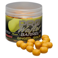 Starbaits Boilies Wafter Pro Ginger Squid 14mm 50g