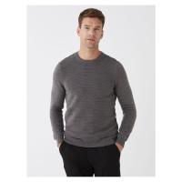 LC Waikiki Crew Neck Long Sleeve Men's Knitwear Sweater