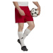 adidas ENTRADA 22 SHORTS Pánské fotbalové šortky, červená, velikost