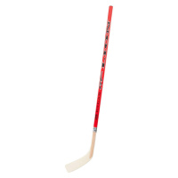 Hokejka Lion Hockey Stick Straight Plastic Blade