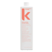 Kevin Murphy Šampon pro ochranu barvy vlasů Everlasting Colour Wash (Colour Protect Shampoo) 250