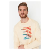 Trendyol Stone Men's Regular/Normal Fit Crewneck Long Sleeved Sweatshirt