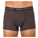 3PACK pánské boxerky Tommy Hilfiger vícebarevné (UM0UM02203 0XX)