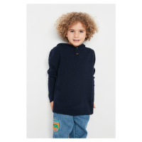 Trendyol Navy Blue Hooded Boy Knitwear Sweater