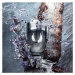 Rabanne Invictus Platinum parfémovaná voda pro muže 100 ml