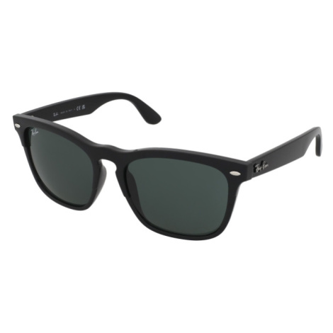 Ray-Ban Steve RB4487 662971