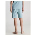 Spodní prádlo Pánské šortky SLEEP SHORT 000NM2605ECYA - Calvin Klein