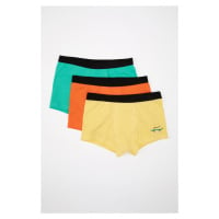 DEFACTO Boy's 3-piece Boxer