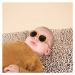 Dětské sluneční brýle Lion Honey KiETLA
