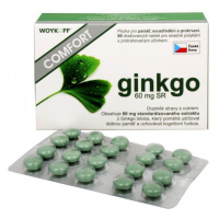 Ginkgo Comfort 60 mg SR 60 tablet