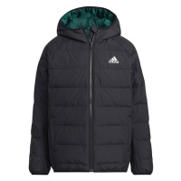 Dětská zimní bunda Frosty H45034 - Adidas